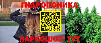ешки Усть-Илимск