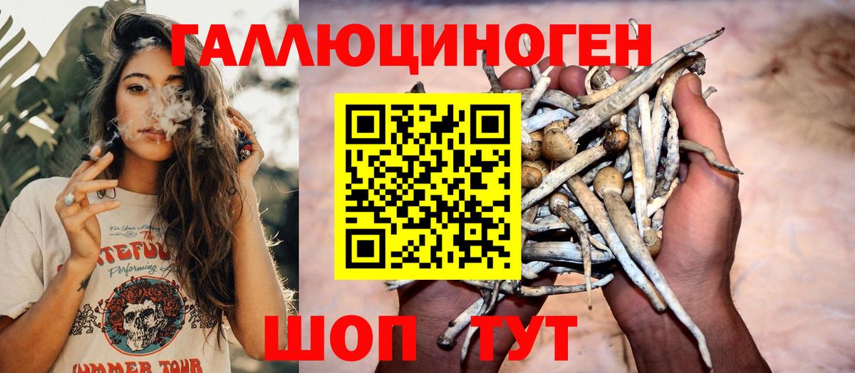 Богородицк  Галлюциногенные грибы мицелий  Вход с VPN  Галлюциногенные грибы MAGIC MUSHROOMS 