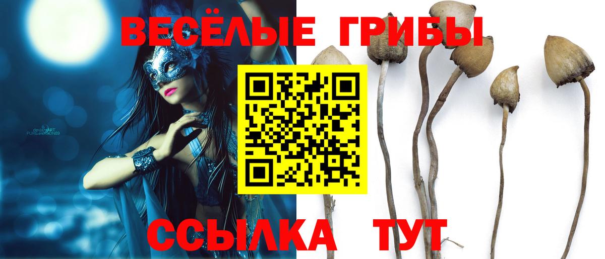 Псилоцибиновые грибы ЛСД Богородицк