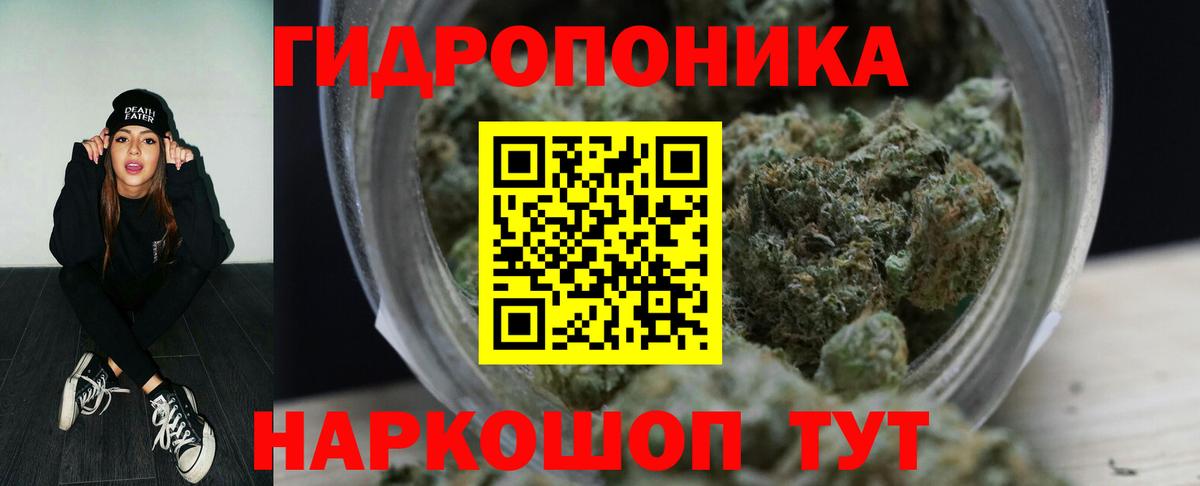 Каннабис OG Kush Богородицк
